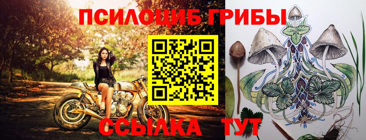 Псилоцибиновые грибы Cubensis Отрадное